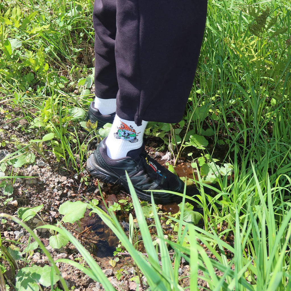 "Earth on Fire" Socks